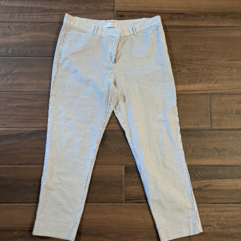 GAP Women's Blue and White Striped Pant